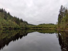 Scenery from around the area
