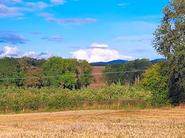 Local walk