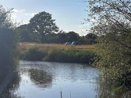 Ponds on site