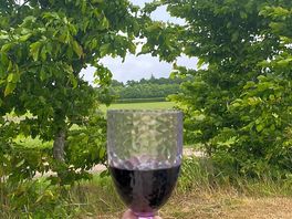 Lovely and quiet to enjoy wine from one of the many vinyards in the area.
