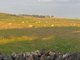 Peaceful open countryside