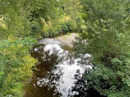 Lovely stream for paddling in!