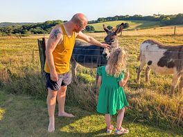 Donkeys