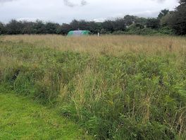 The view of our tent from an unoccupied pitch.