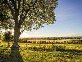 Views from the campsite overlooking the market town of Abingdon