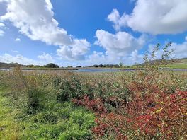 Nice flat, dog friendly walks