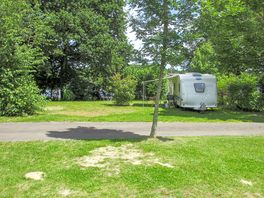 Pitches on site