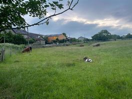 View across the site to the bar and pizza area