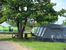 Spacious grass pitches