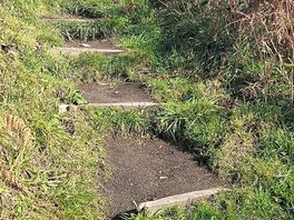 Oh the steps