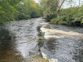 Easy access to the river for campsite users.