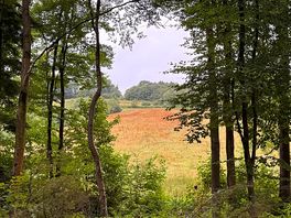 At nearby gravetye manor