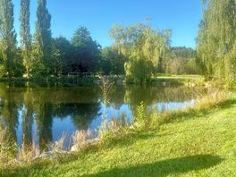 Local lake