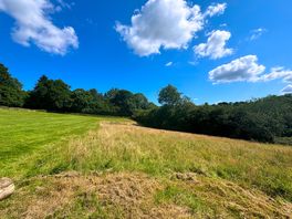 More camping pitches