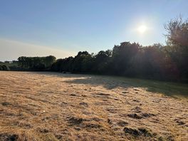 The field