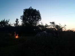 Campfire