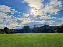 A glimmer on sunshine in the morning