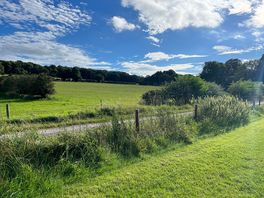 Site view