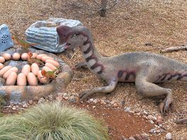 Wildlife park