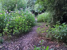 River walk
