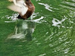 Beautiful shot!