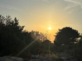 Sunset from site