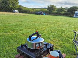 Tea in the morning