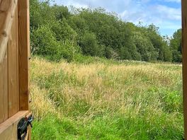 View from the loo!