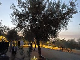 Watching the sunset