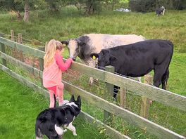 Making friends