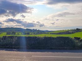 A view from the site