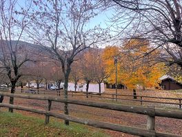 Tent sites.