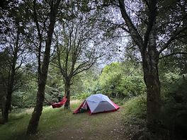 Our pitch
