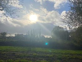 Sunshine on a rainy day