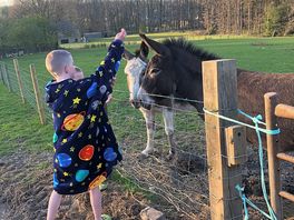 Great to get close to all the animals.