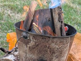 Wood available for camp fires