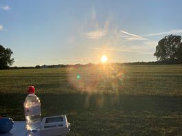 Sunset over the field