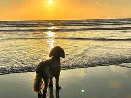 Local beach