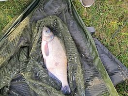 Fishing