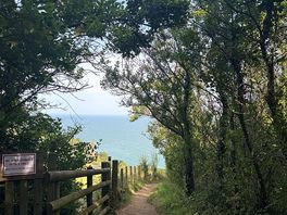 Lovely view of the beach from the campsite