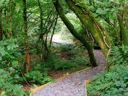 Footpath.