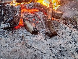Toasting marshmallows.