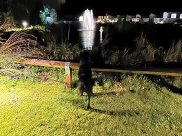 The pond in the evening on the site