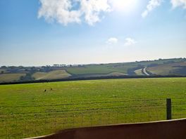 View from the back of the tent onto the cornfields