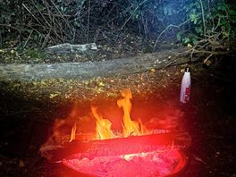 Firelight