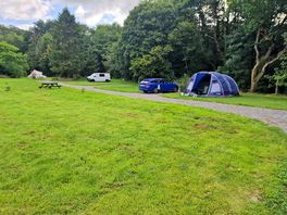 Plenty of room in the campsite