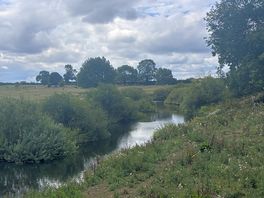 Nearby walk