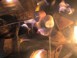 We toasted marshmallows on our firepit