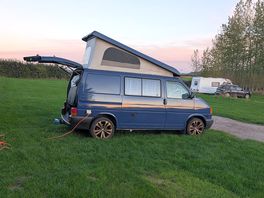 Plenty of space which the dog loved