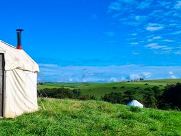 Our yurt
